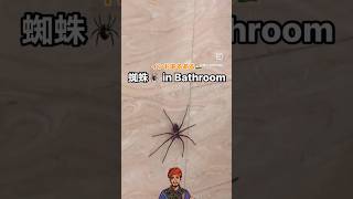 蜘蛛🕷️ in bathroom 🇮🇳Chin Tapak dam dam