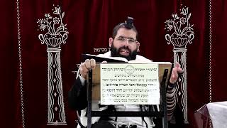 זבחים דף קי"ב ע"ב ¤ הרב נתנאל אברז'ל ¤ בית הכנסת "בית מרדכי" (מוסדות תורת דוד) - התמונה מוצגת ישירות מתוך אתר האינטרנט יוטיוב. זכויות היוצרים בתמונה שייכות ליוצרה. קישור קרדיט למקור התוכן נמצא בתוך דף הסרטון