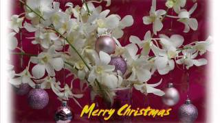 Mis Deseos Feliz Navidad   Michael Bublè (duet with Thalia)