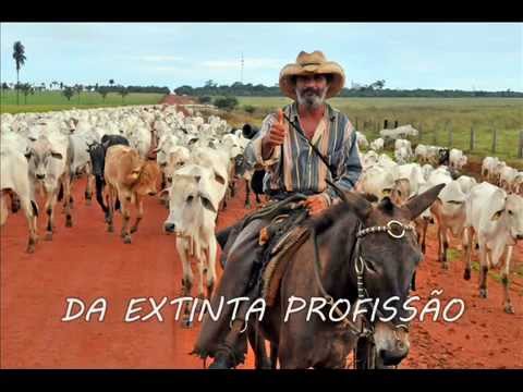 Ronaldo Viola e João Carvalho - Queima do Alho