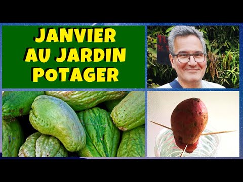 , title : 'Janvier au jardin potager - Que planter, semer et bouturer ?'