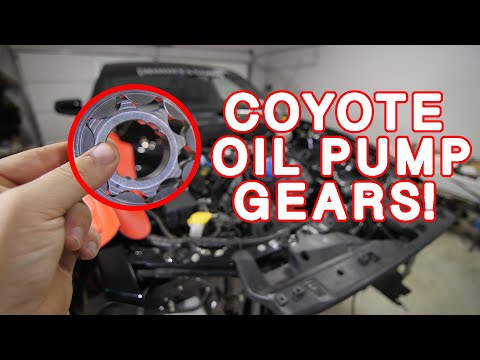 Pt. 1 | On3 Turbo Mustang Build | Boundary Oil Pump Gears Install aka OPG's