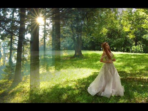 The Woodland Folk - Ella Roberts