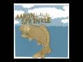 The Boy Who Stopped the World - Aaron Sprinkle - with lyrics