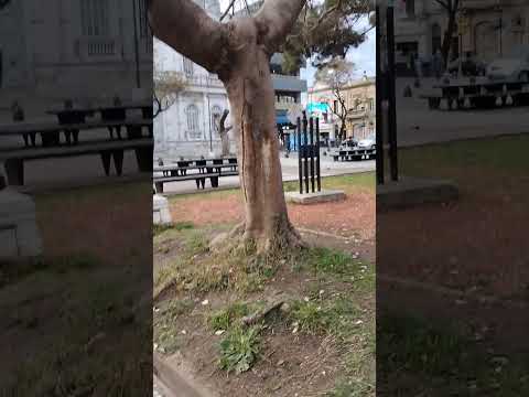 Plaza primero de mayo Paraná Entre Rios