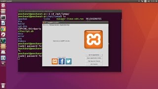 How to open XAMPP manager with ubuntu