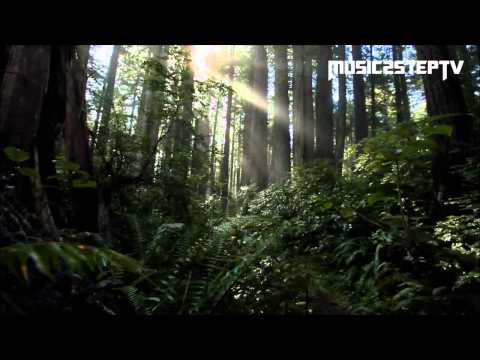 Music2StepTV - Chillstep and Dubstep (Extended version)