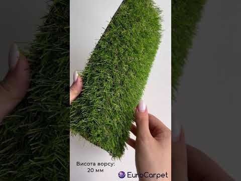 Декоративна трава Grass U-20