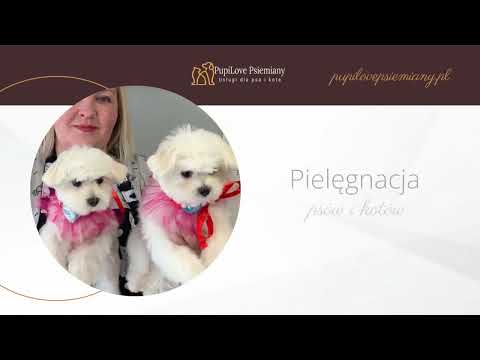 Pupilove Psiemiany Małgorzata Sroka-Truszkowska - video