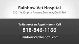 preview picture of video 'Rainbow Veterinary Hospital - Short | Burbank, CA'