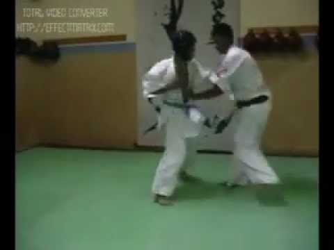 francisco cortes la serena kyokushin