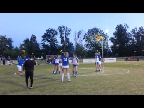 meervogels amber 3 1