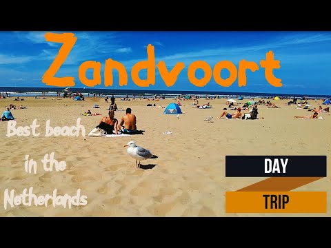 Day Trip to Zandvoort | The Best Beach in the Netherlands