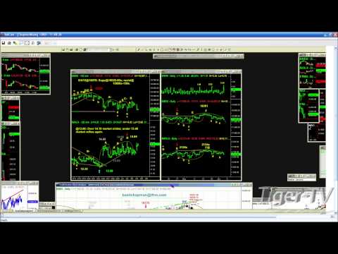 Jun 4th Tiger Technicians Hour with Basil Chapman on TFNN - 2015