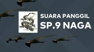 Download lagu SUARA PANGGIL  SP. 9   NAGA   ORIGINAL /ASLI  (SUARA INI SATU PAKET SP, ST, SI) mp3