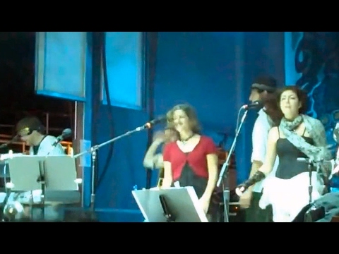 The Motet : Slippery People