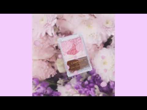 【日本CANMAKE】2025新色 CANMAKE 花漾戀愛修容組 【日本CANMAKE】2025新色 CANMAKE 花漾戀愛修容組