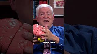 Why Are Dreams So Vivid: The Science Behind Dreaming