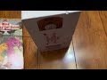 Walk Around The Block With Barney 1999 VHS