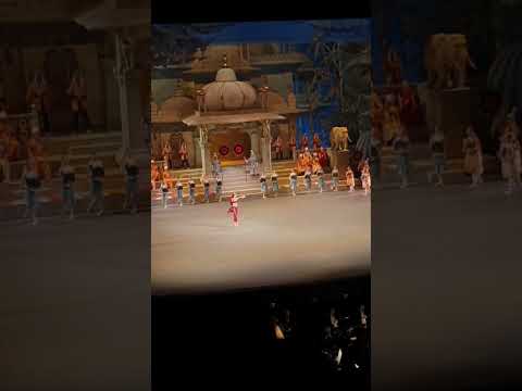 Anna Nikulina, La Bayadère Bolshoi theatre #bolshoitheatre #bolshoiballet #ballet