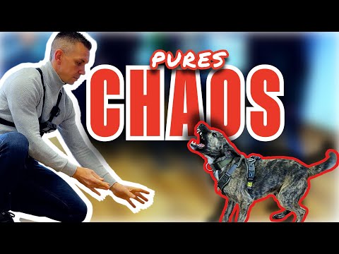 HILFLOSIGKEIT, TRÄNEN UND VERZWEIFLUNG