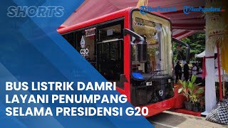 Bus Listrik Damri Sudah Layani 3.234 Penumpang Selama Event Presidensi G20: Jumlah Terus Bertambah