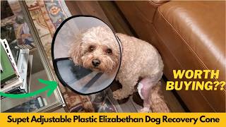 Supet Adjustable Plastic Elizabethan Dog Recovery Cone Collar Unboxing & Review