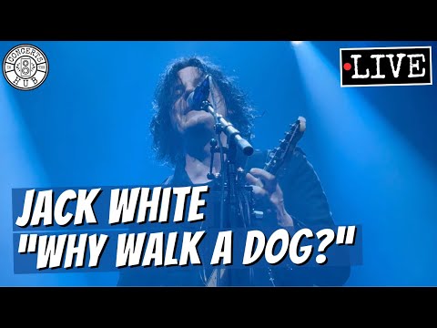 Jack White "Why Walk a Dog?" LIVE