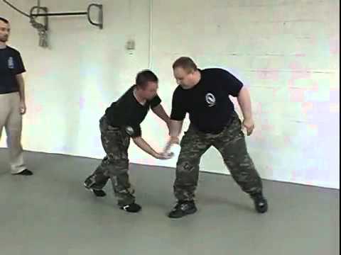 Systema maitre  Mikhail Ryabko.flv