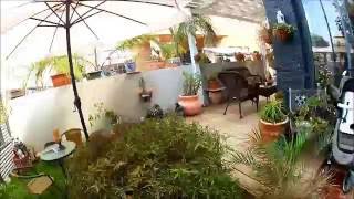 עבודות גינון - איך להיות גנן ?? :)