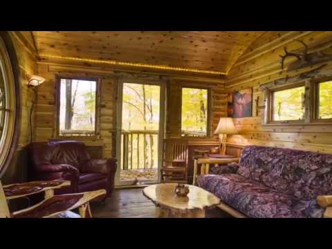 The Treehouse | Andersen Windows