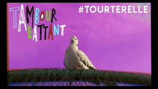 Tambour Battant - Tourterelle (Official Video)