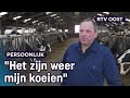 Boer Jan geniet weer van zijn koeien na MKZ-ruiming | RTV Oost