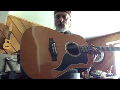 EKO Ranger V Dreadnought E/A Guitar