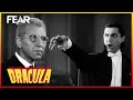 Dracula vs Van Helsing | Dracula (1931)