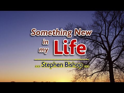 Something New In My Life - Stephen Bishop (KARAOKE VERSION)