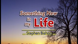 Something New In My Life - Stephen Bishop (KARAOKE VERSION)