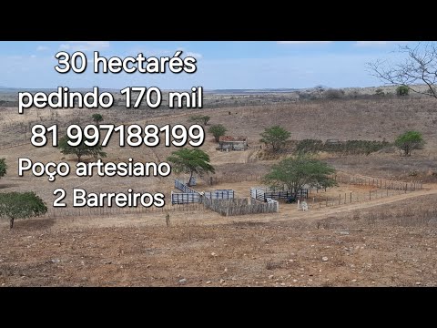 Terreno pra vender com 30 hectares,a 9km de Vertentes PE, sítio moça branca.81 99718 8199.
