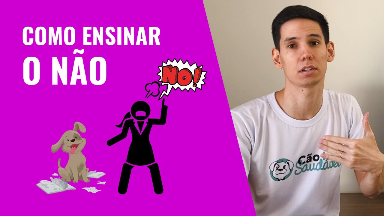 Como ENSINAR o COMANDO NÃO para o cachorro