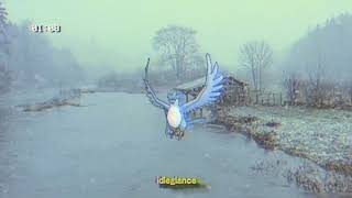 Xavier Wulf & Bones - Winter