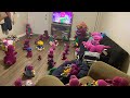 Barney Plush Party