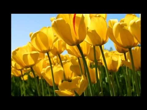 mujer sola. Amaury Gutiérrez