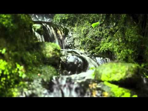 Jewish Meditation - Nurturing Positive Emotion