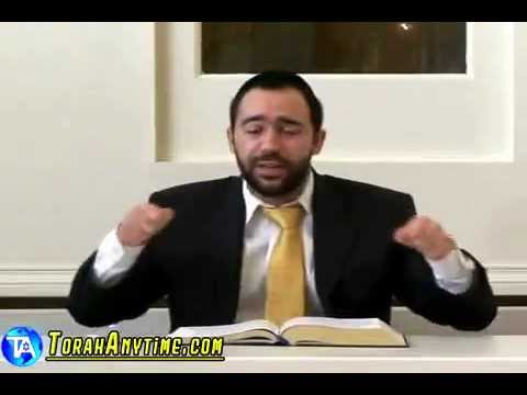 Rabbi Yehuda Moses - Parashat Vaeira The Real Purpose Of The Plagues