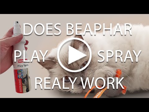 Does Beaphar Catnip Play Spray really work?