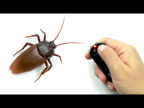 Prank Remote Control Cockroach