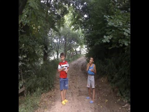 Grigore Neculai  - VIZANTEA   LIVEZI -