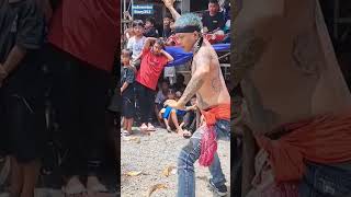 Download lagu Barongan Lewung..#shorts #barongan #jaranan #jathilan mp3 Download lagu Barongan Lewung..#shorts #barongan #jaranan #jathilan mp3