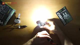Winso H7 12/24V 40Вт 6000K 5000Лм CSP Chip 792700 - відео 1
