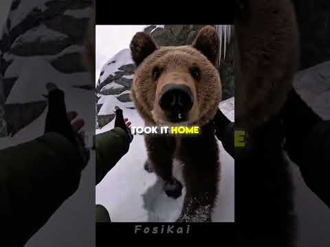 A Man Saved a Baby Bear — What Happened Next Is Unbelievable